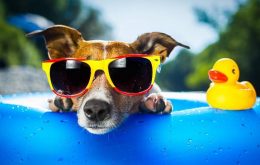 verao-recantoshangrila-brotas-temporada